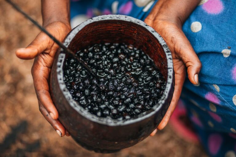 Custos diretos e indiretos na produção do açaí