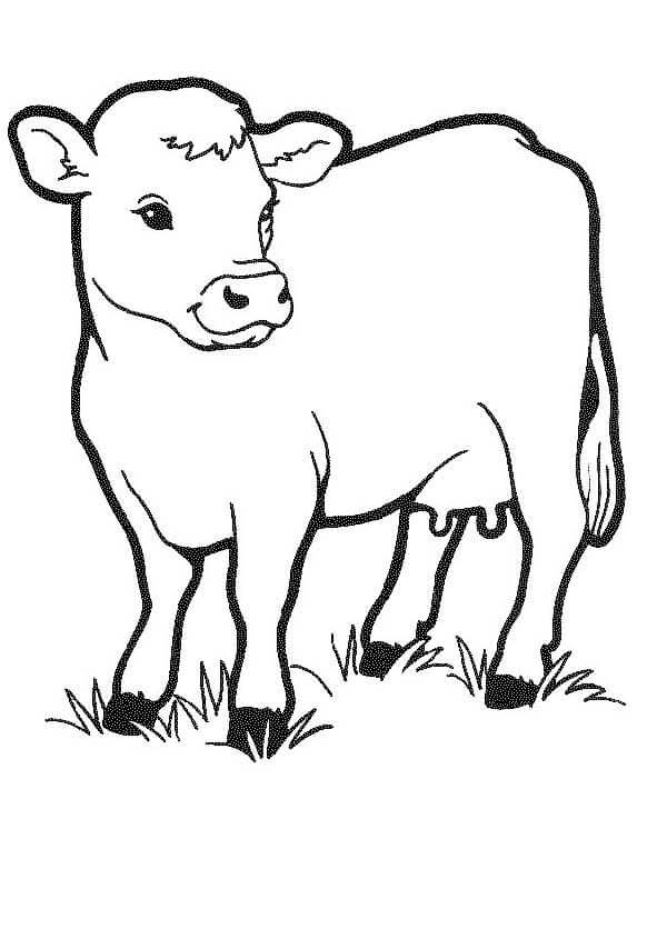 Desenho de Vaca Para Colorir » Portal ...