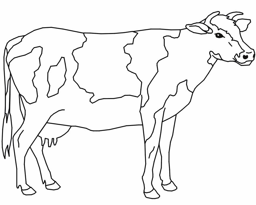 Desenho de Vaca com manchas para ...