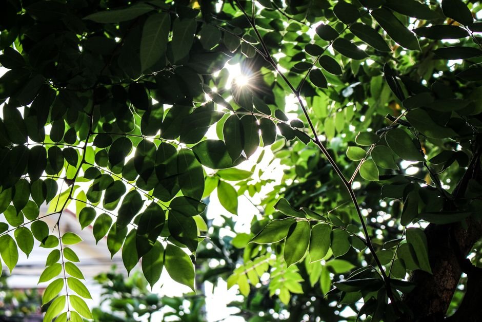 A luz solar como fonte de energia
