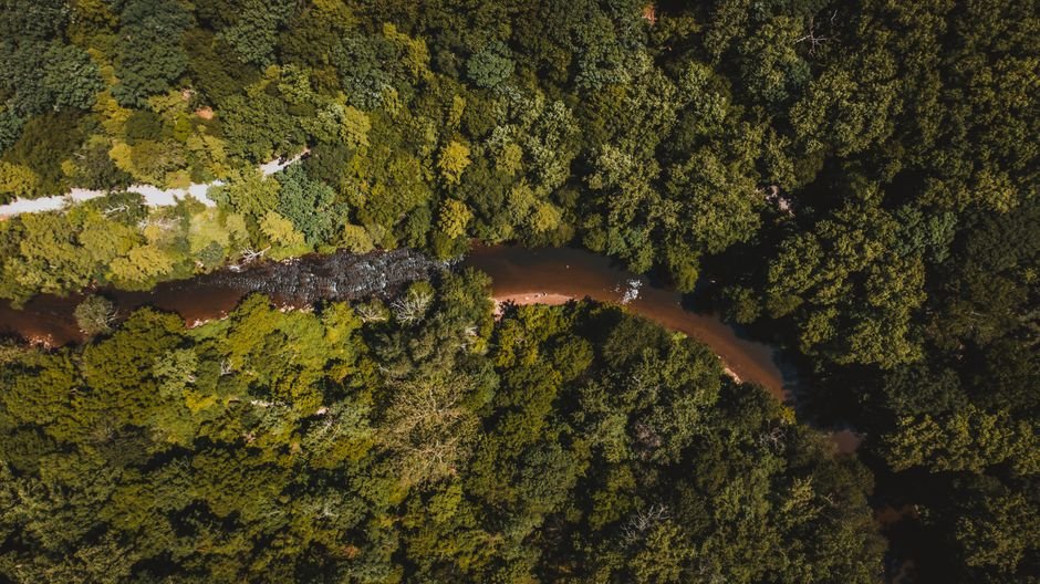 O que é o bioma Amazônia?