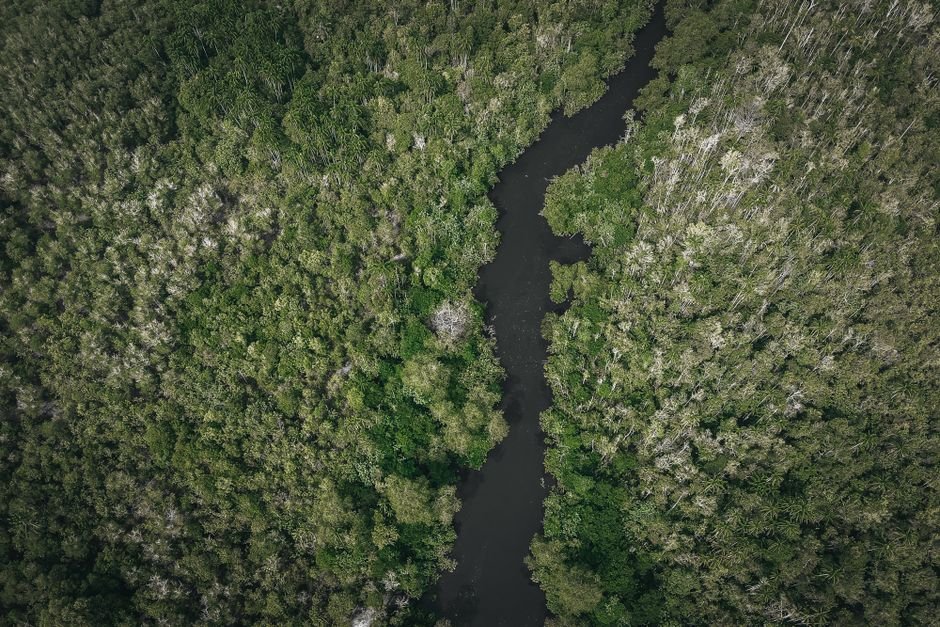 Clima: quente e úmido o ano inteiro