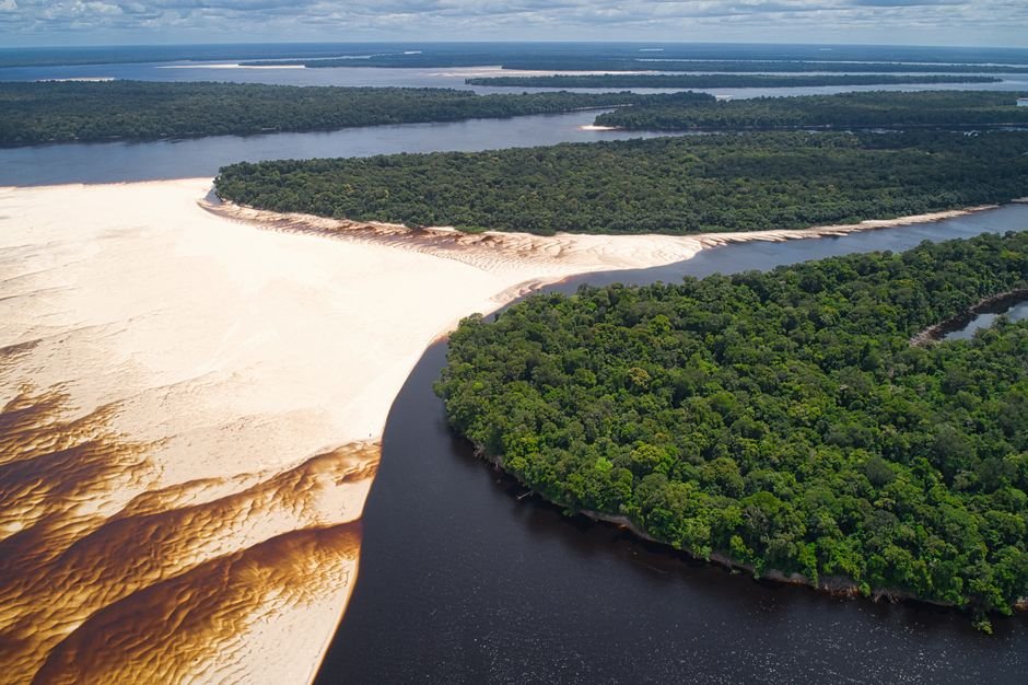 Por que a Amazônia é tão importante?