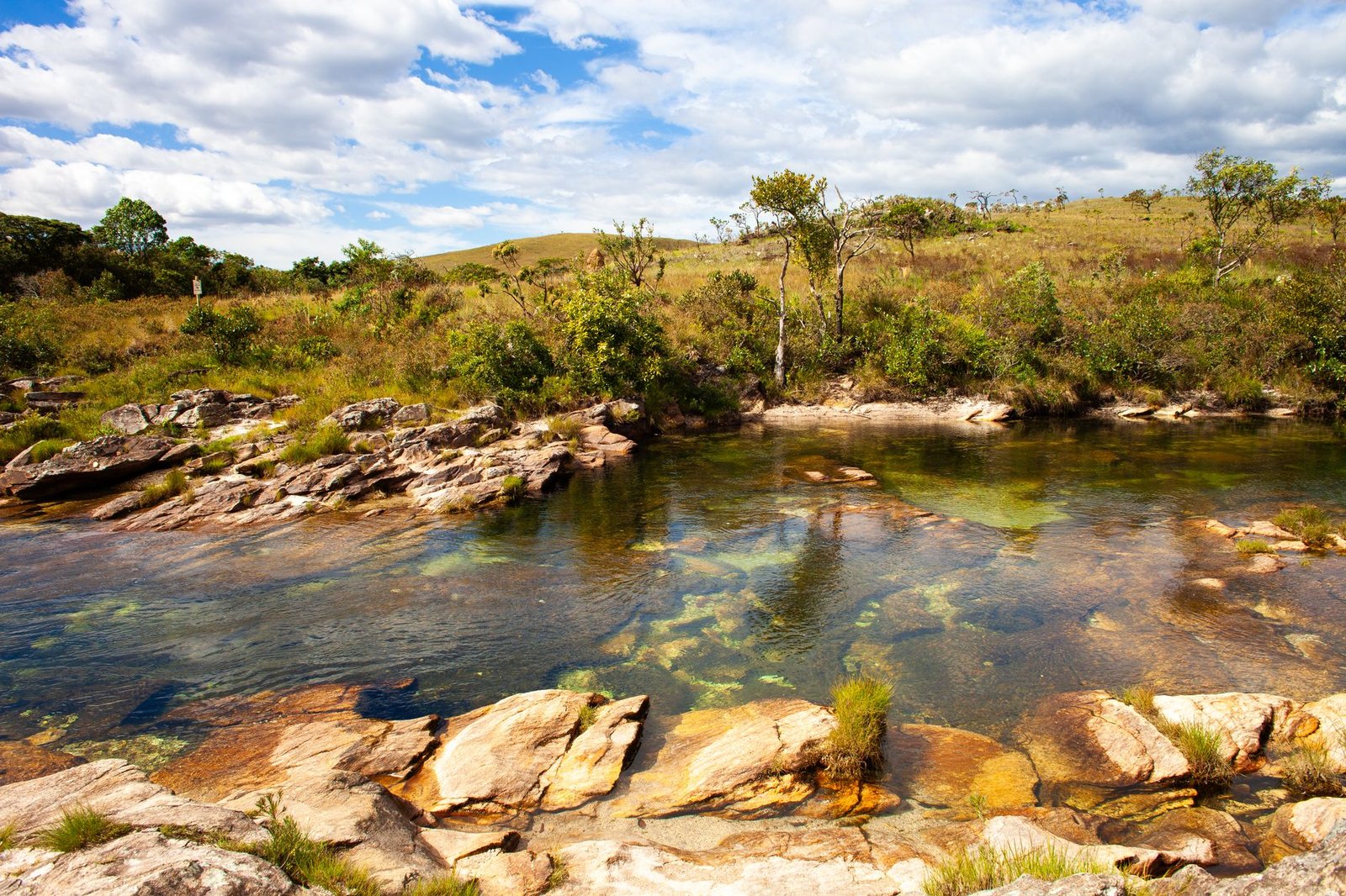 Bioma Cerrado: características, fauna e flora do coração do Brasil