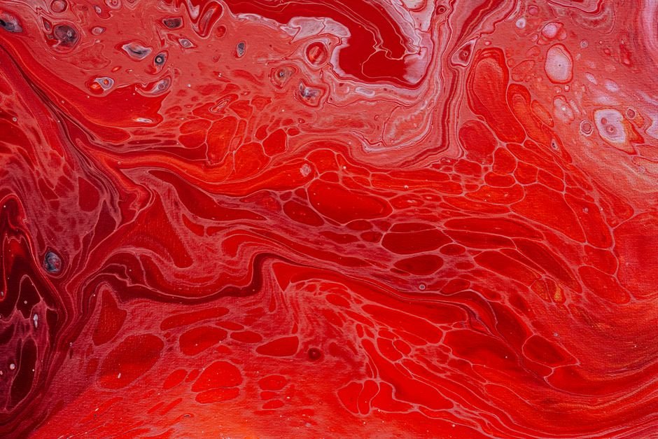 O caminho do sangue: pequena e grande circulação