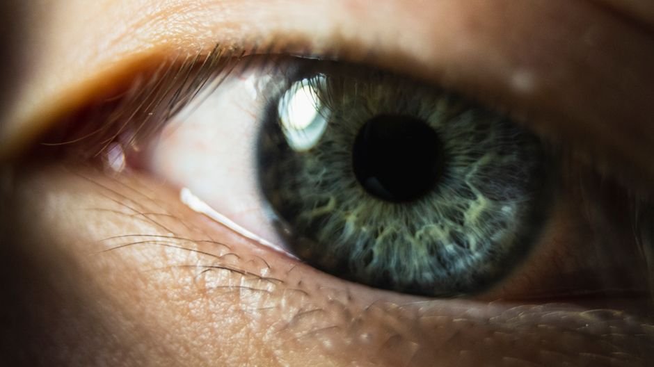 Olhos: o sentido da visão