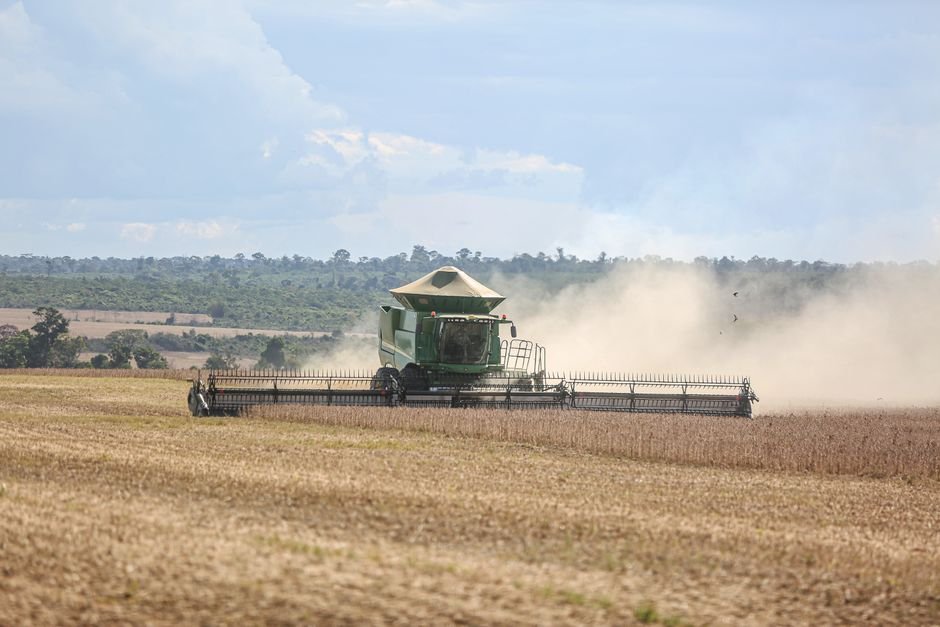 Agricultura: grandes culturas de exportação