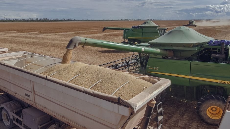 Os principais tipos de produção agropecuária no Brasil