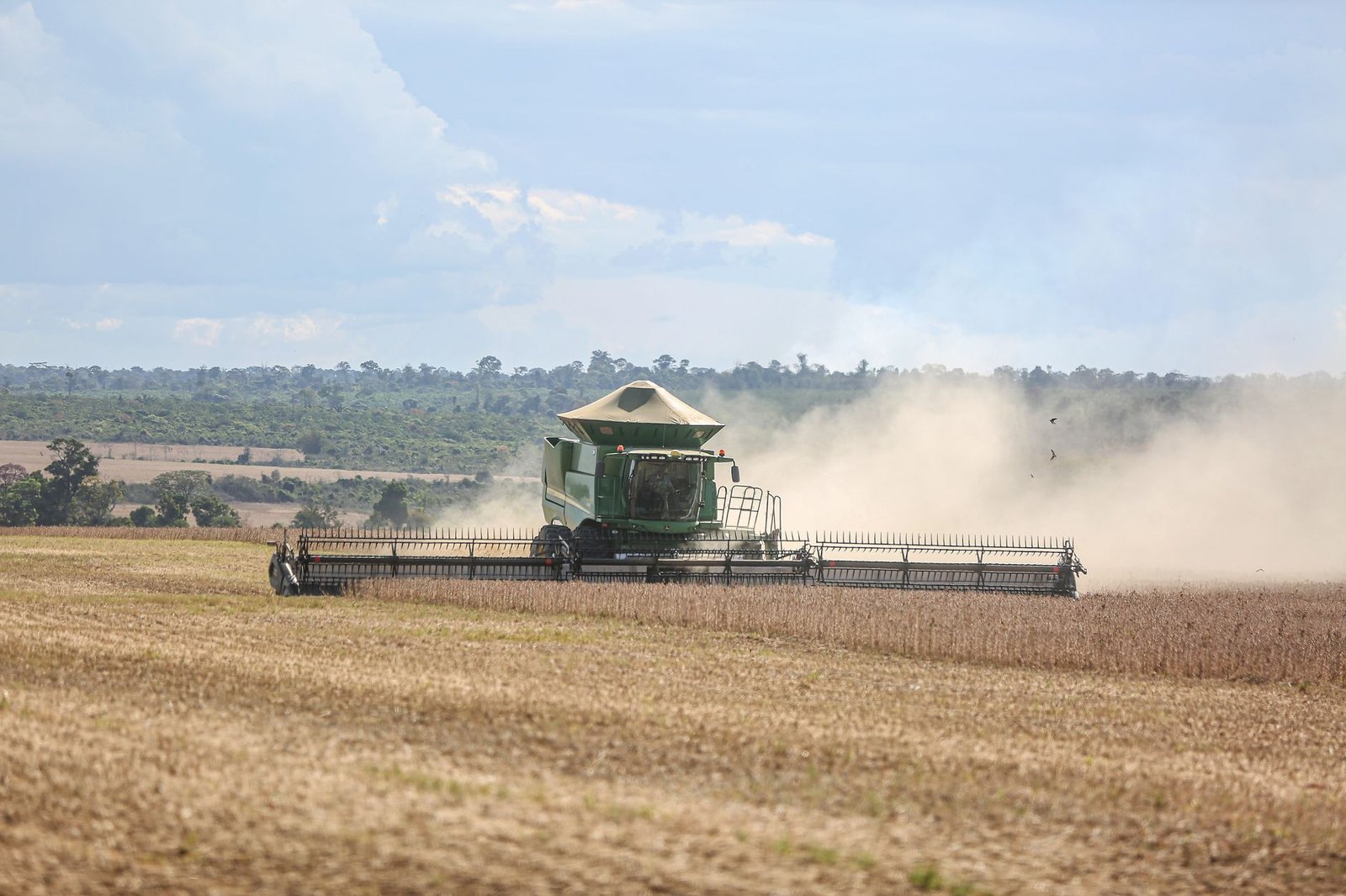 Como funciona a agropecuária no Brasil?
