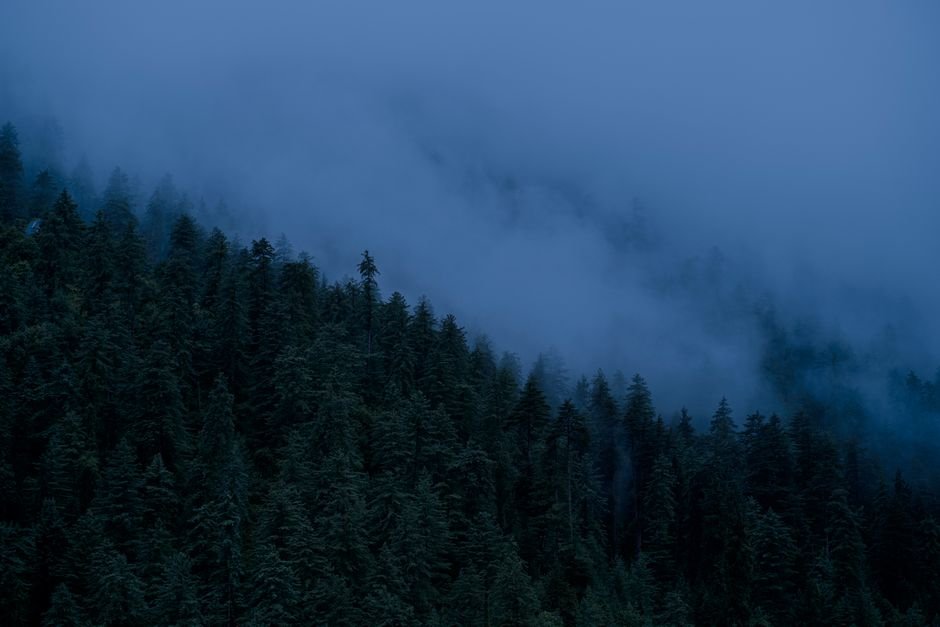 Vegetação e economia influenciadas pelo clima