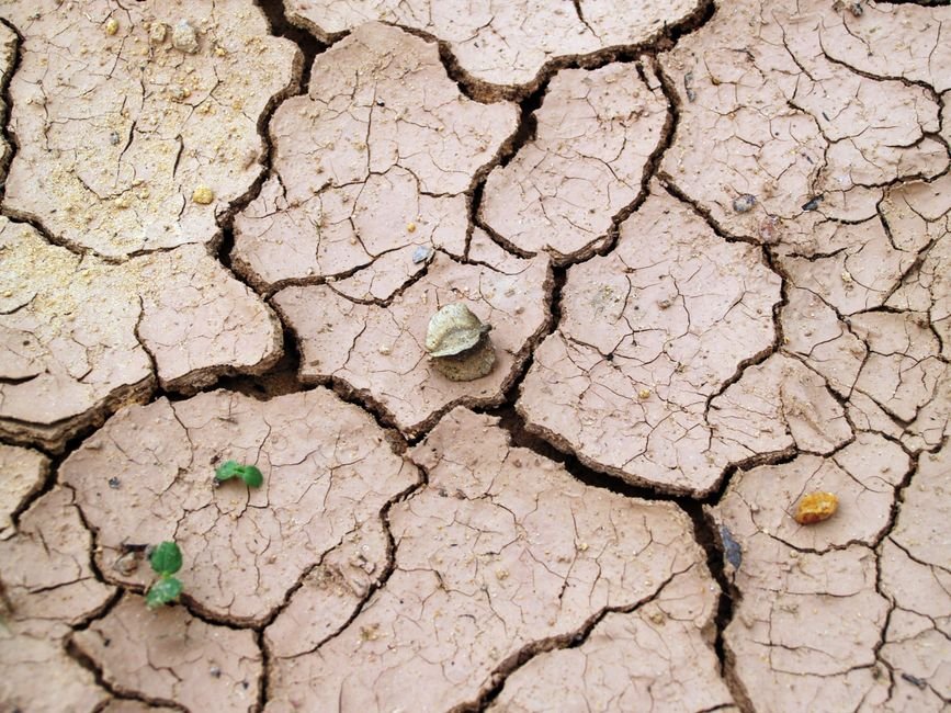 El Niño: o Pacífico mais quente e a seca no Nordeste