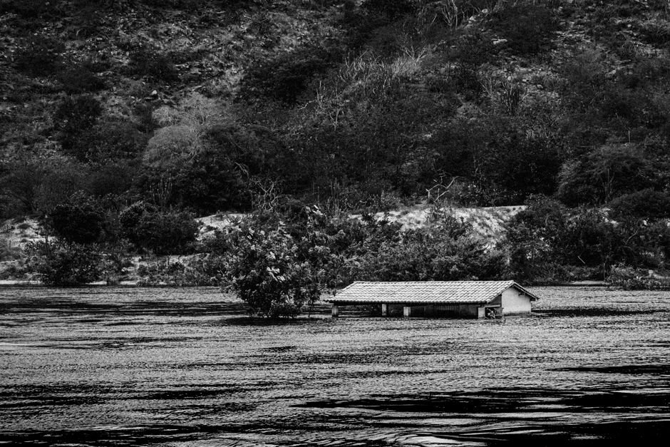 O ciclo das águas: a chave do ecossistema