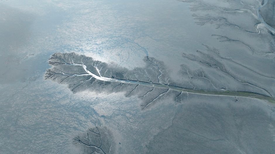 O Que É um Delta Fluvial