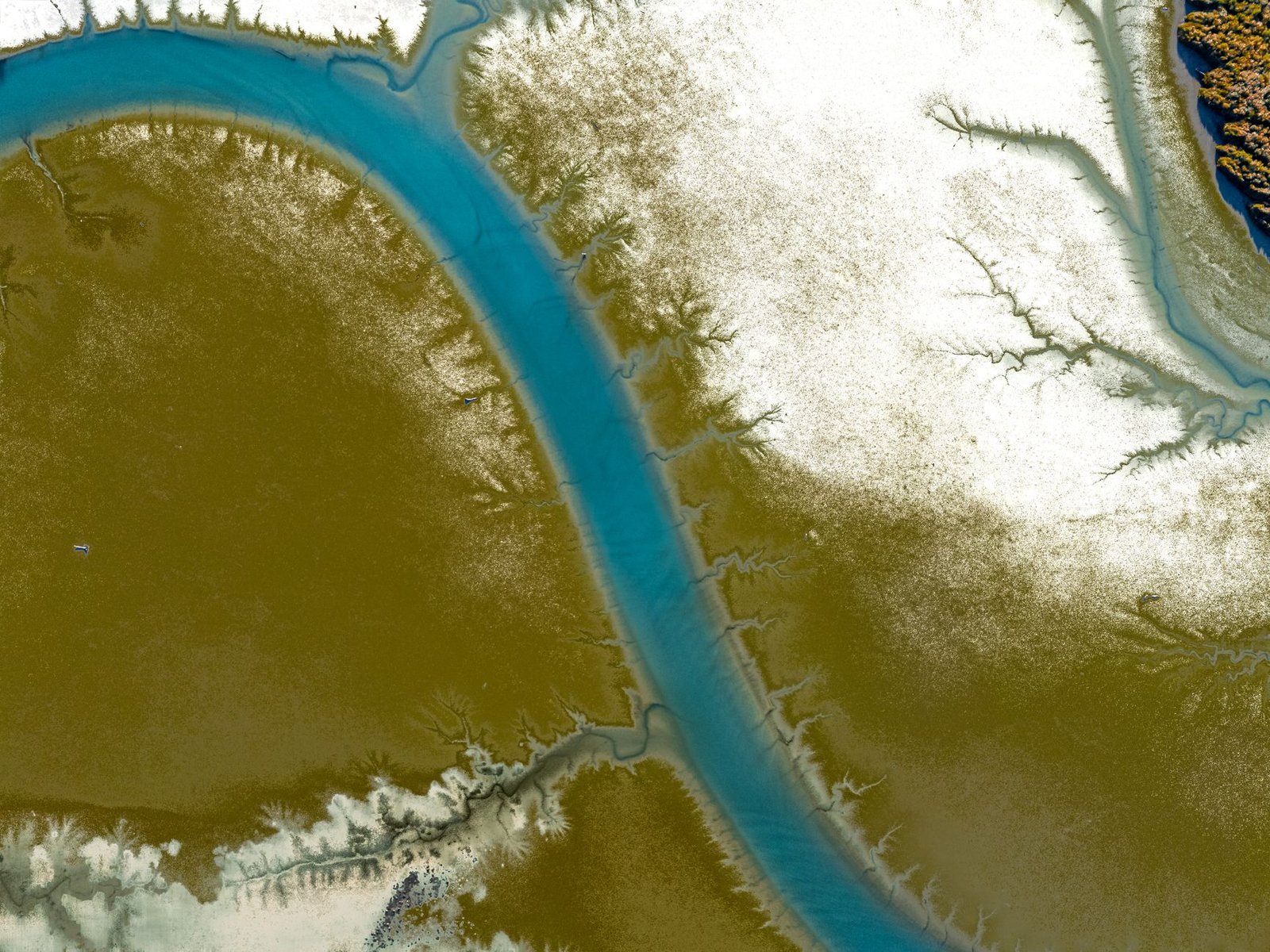 O Que É um Delta Fluvial?