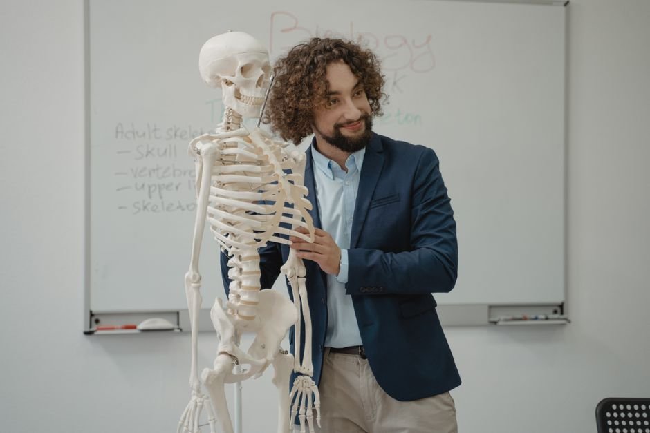 Os grupos de ossos do corpo
