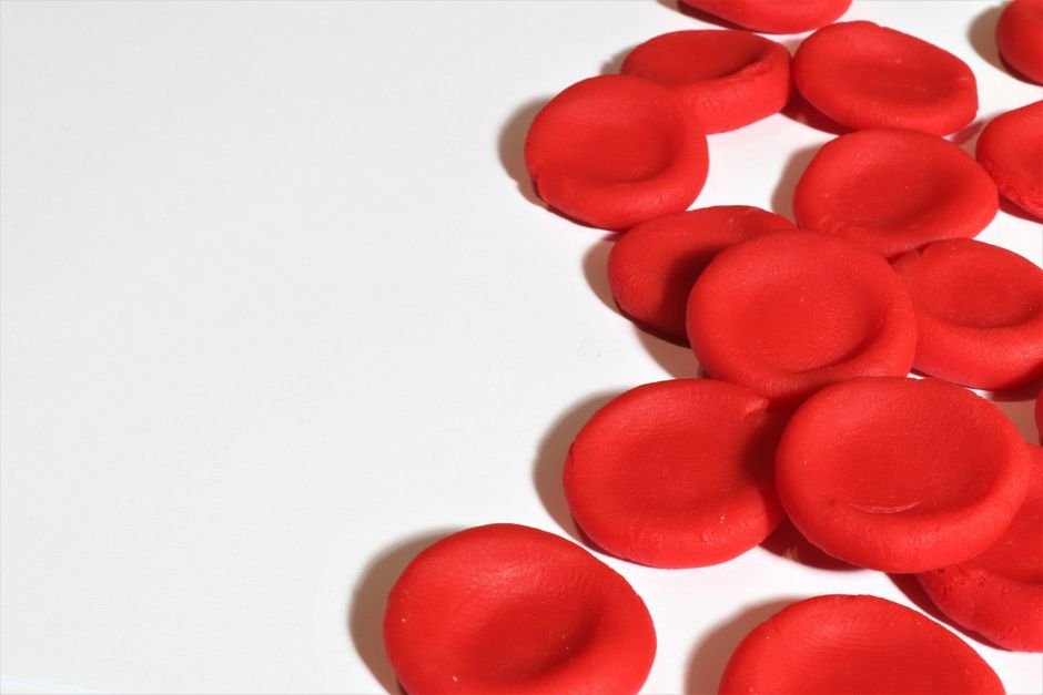 Produção de células do sangue