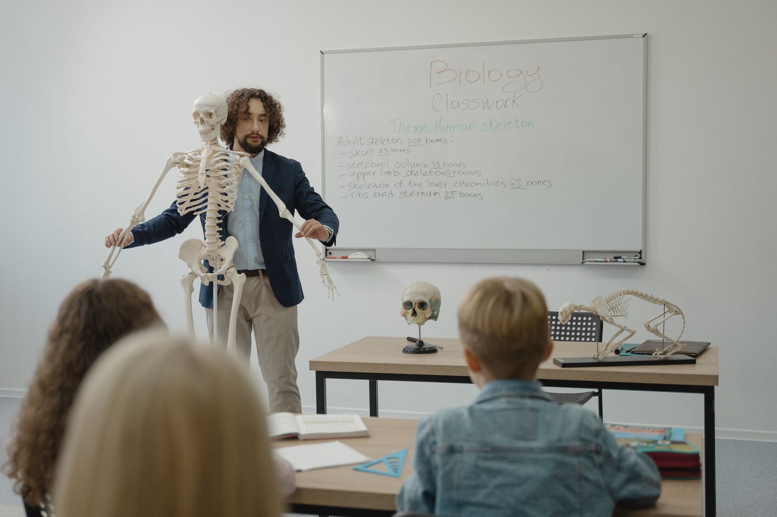 Sistema Esquelético: Como Funciona e Qual é a Sua Função no Corpo?