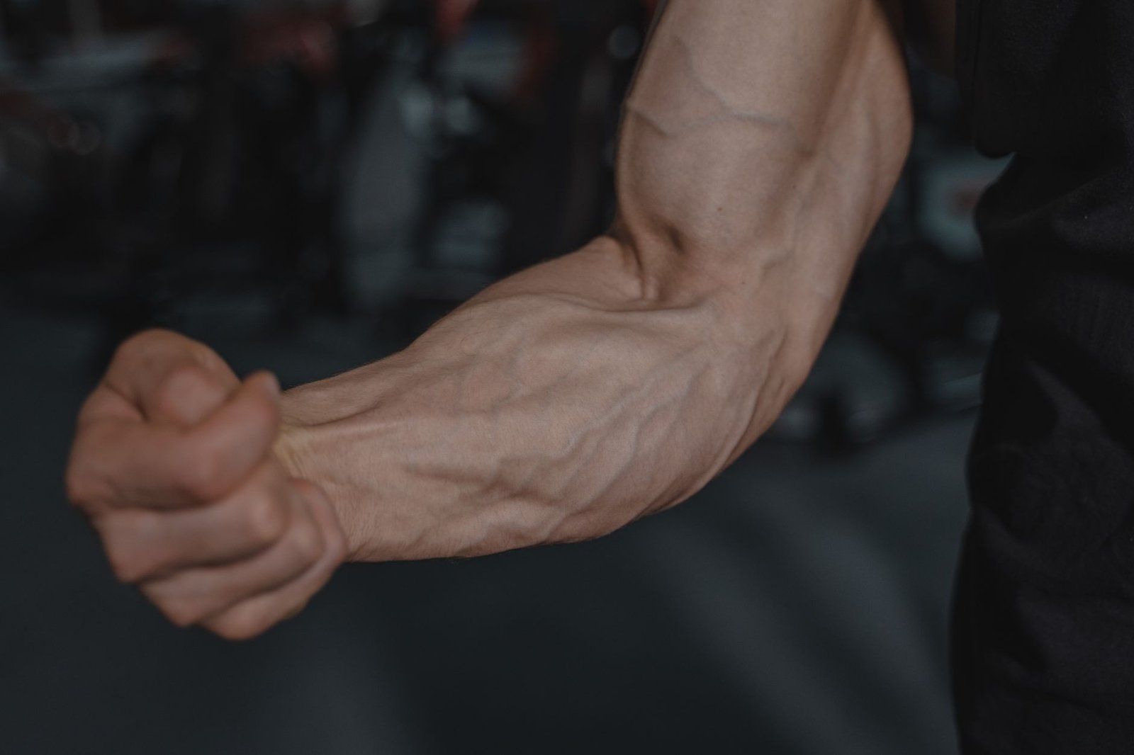 Sistema Muscular: Como Funciona e Quais São os Tipos de Músculos?