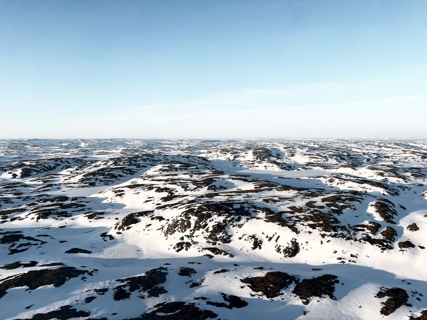 Tundra